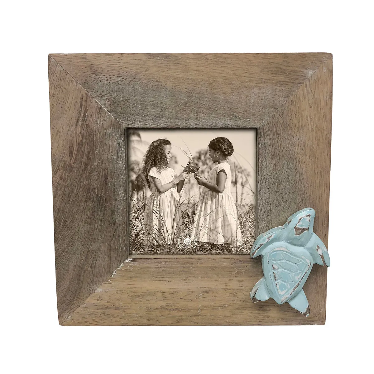 4 in. x 4 in. Whitewashed Turquoise Turtle Frame