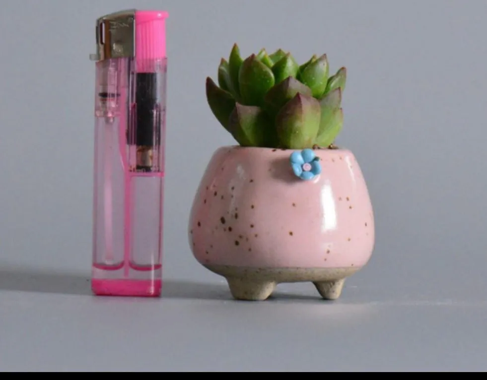 5 PCS Set of mini Succulent Planters