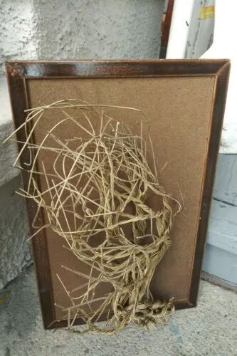 Artisan Signed Jason Handmade Wire Root Tree Art Sculpture Hanging Wall Décor