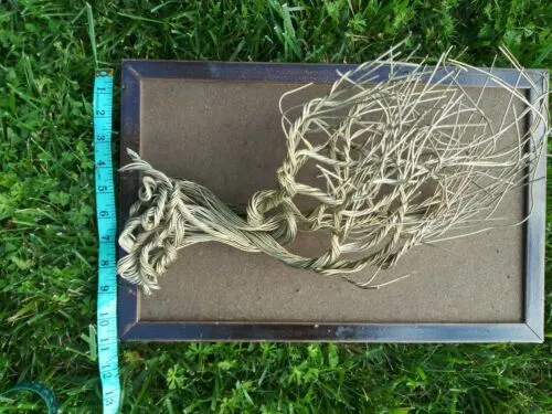 Artisan Signed Jason Handmade Wire Root Tree Art Sculpture Hanging Wall Décor