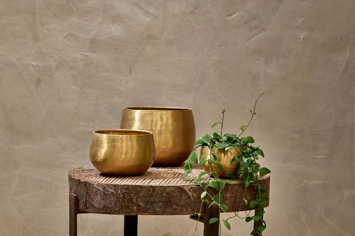 Atsu Brass Planter