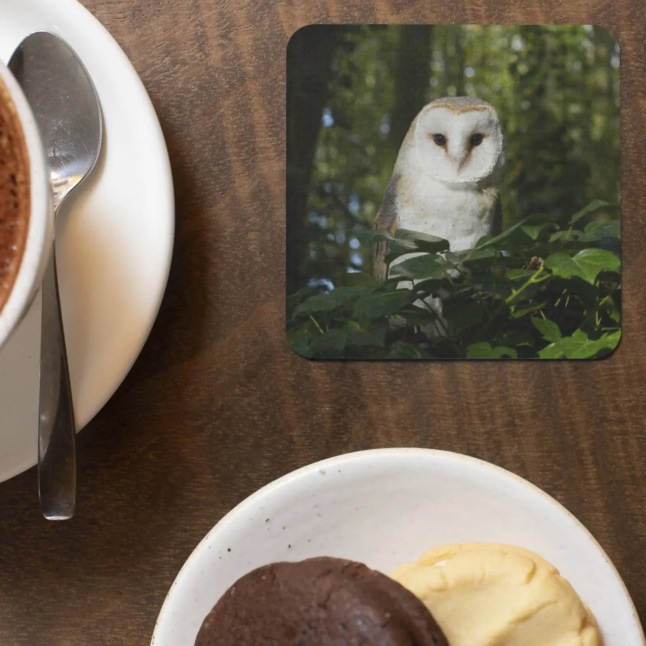 Barn Owl Coaster