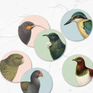 Boxed Set of NZ Native Birds Placemats
