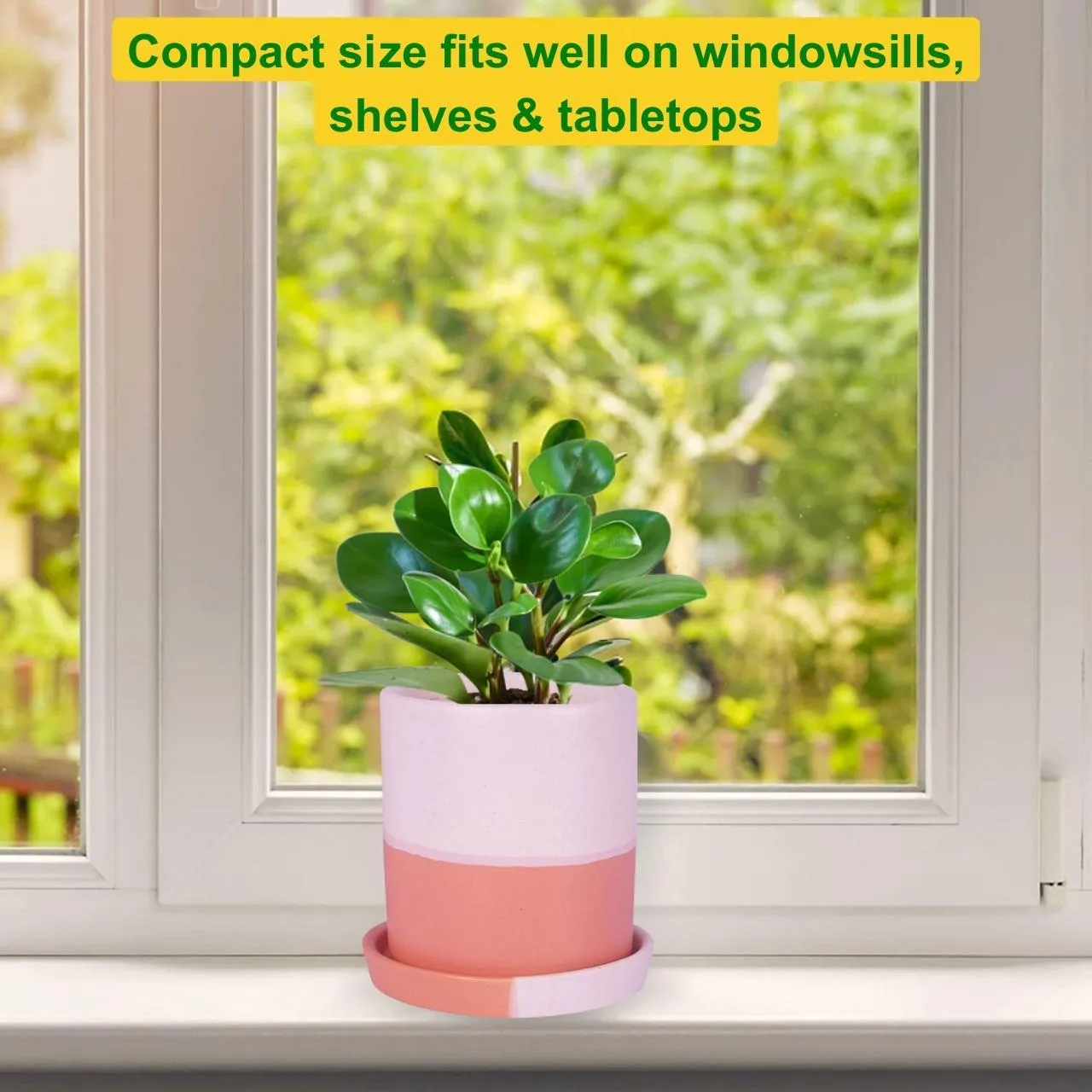 Ceramic Plant Pot
