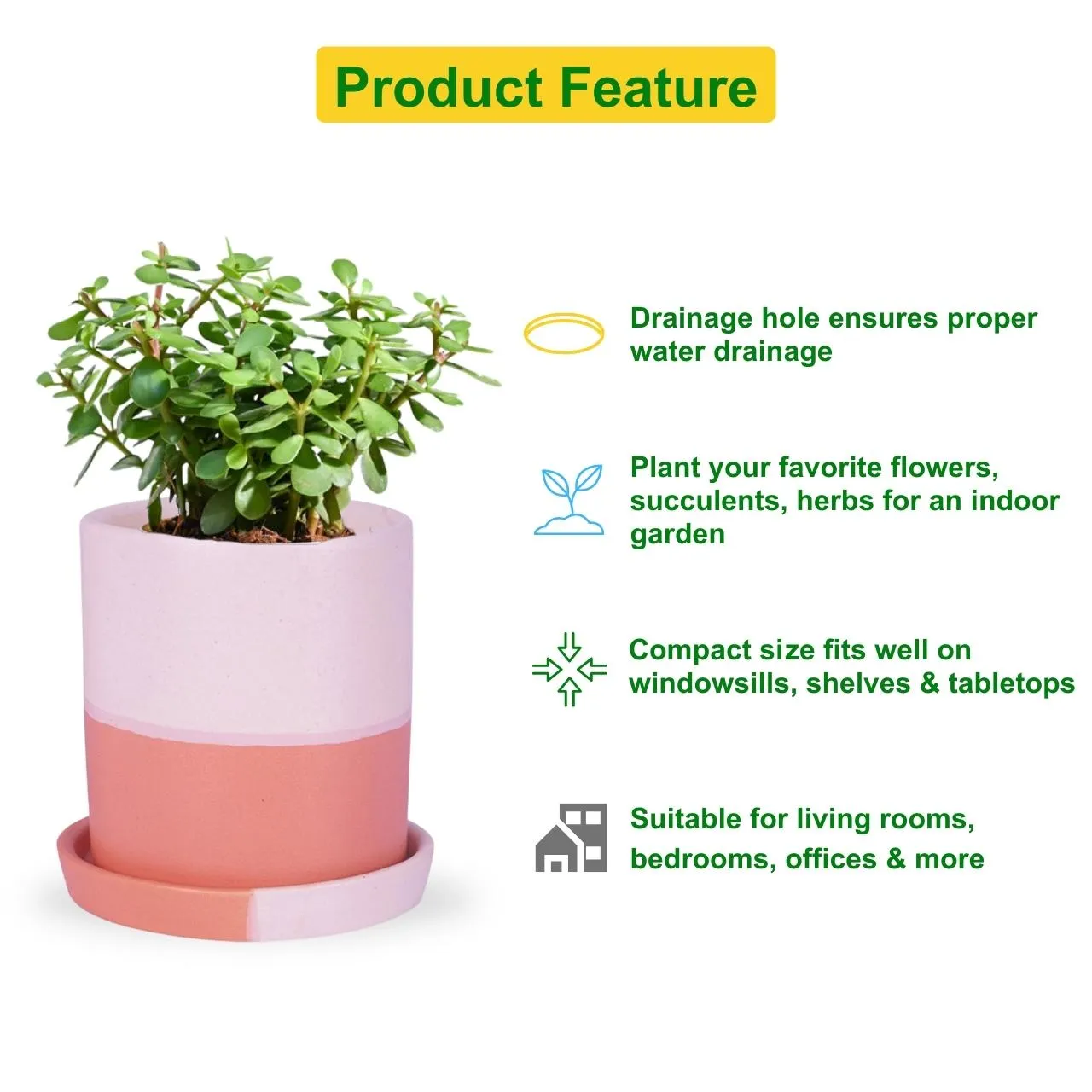 Ceramic Plant Pot