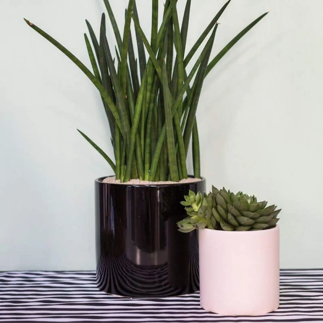 Cercle Pot | Small (Matte White)