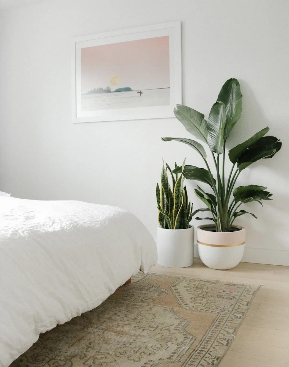 Cylinder Planter