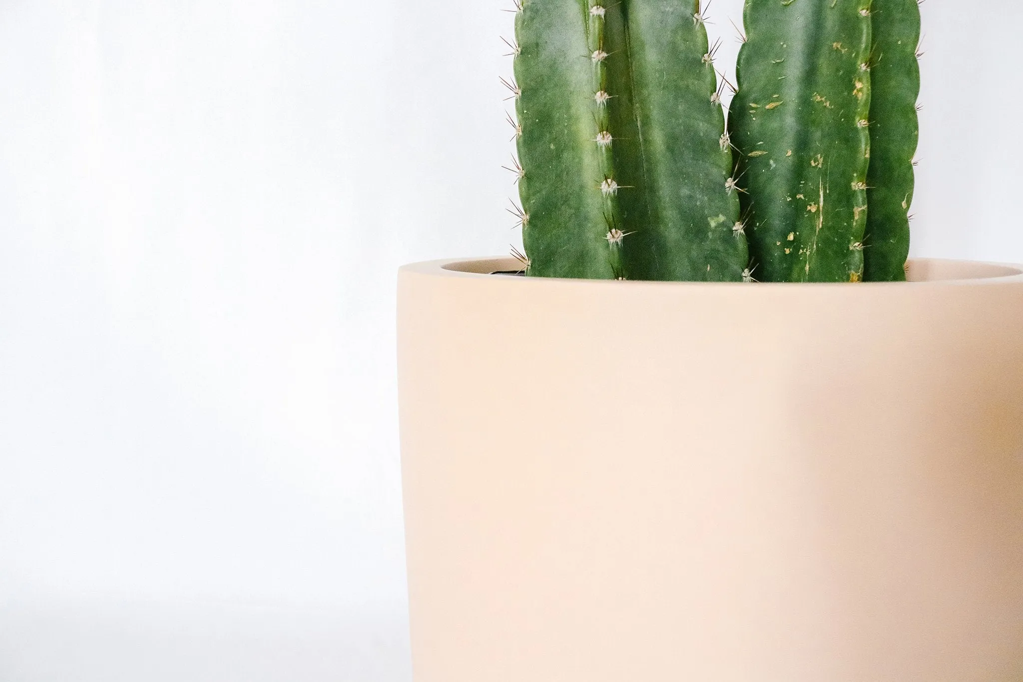 Cylinder Planter