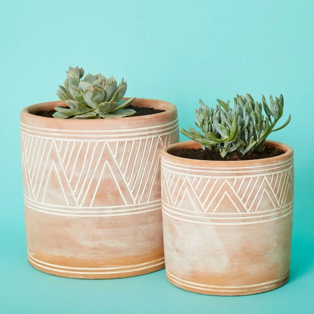 Cylindrical Terracotta Pot Set