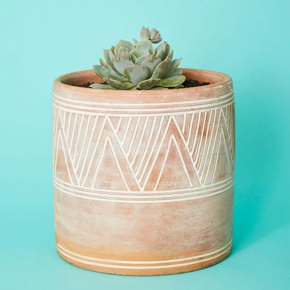 Cylindrical Terracotta Pot Set