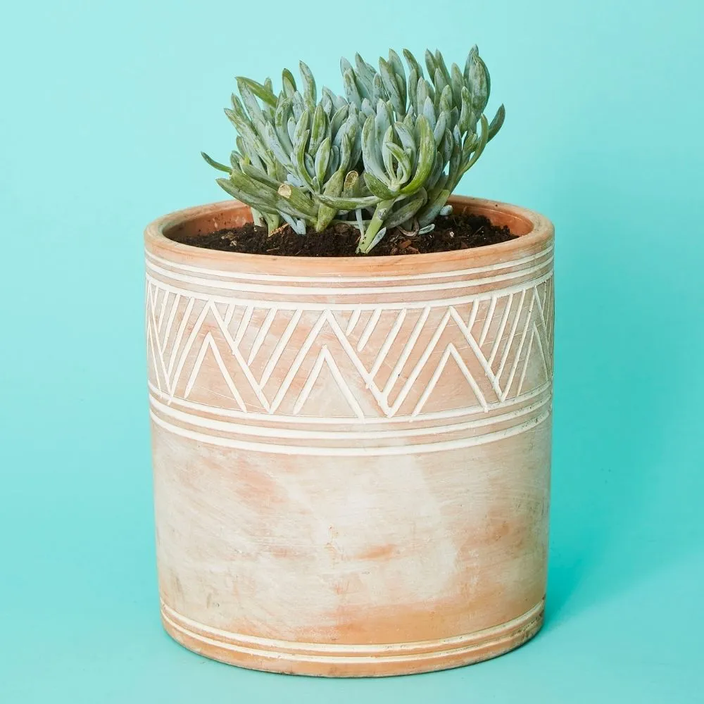 Cylindrical Terracotta Pot Set
