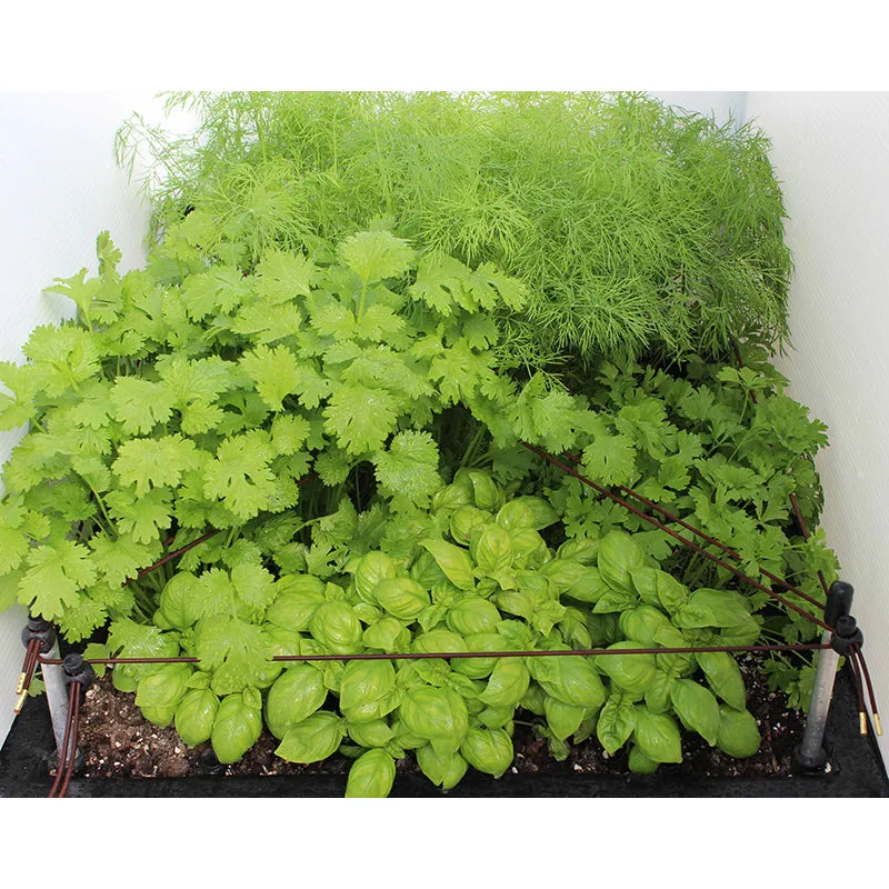 Ergrownomics - One Planter Set