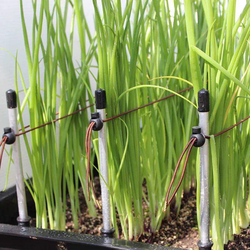 Ergrownomics - One Planter Set