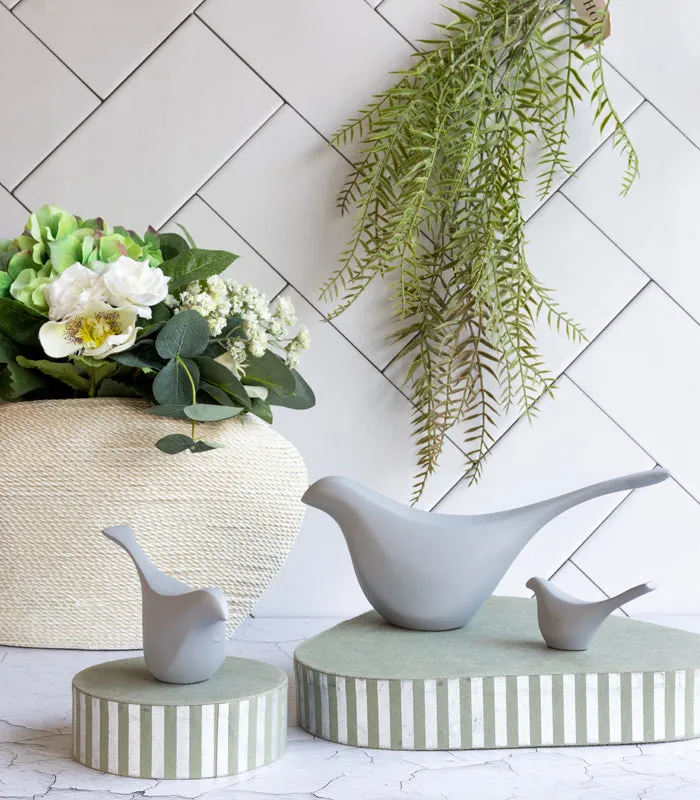 Finch bird Set of 3 - Grey
