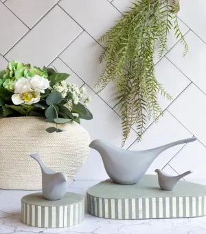 Finch bird Set of 3 - Grey