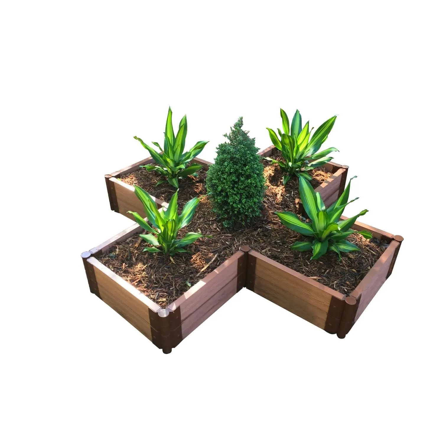 Frame It All | Tool-Free Military Medallion Raised Garden Bed (Kit Cross) 6' X 6' X 16.5" - Classic Sienna - 1" Profile
