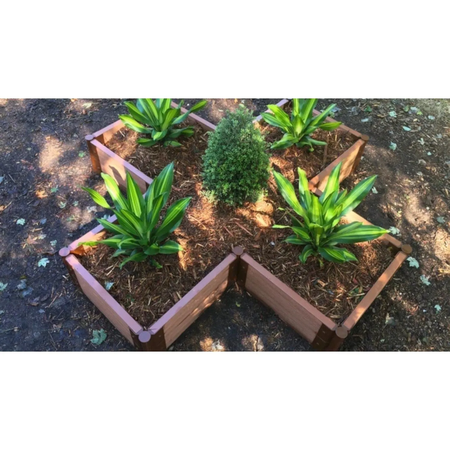 Frame It All | Tool-Free Military Medallion Raised Garden Bed (Kit Cross) 6' X 6' X 16.5" - Classic Sienna - 1" Profile