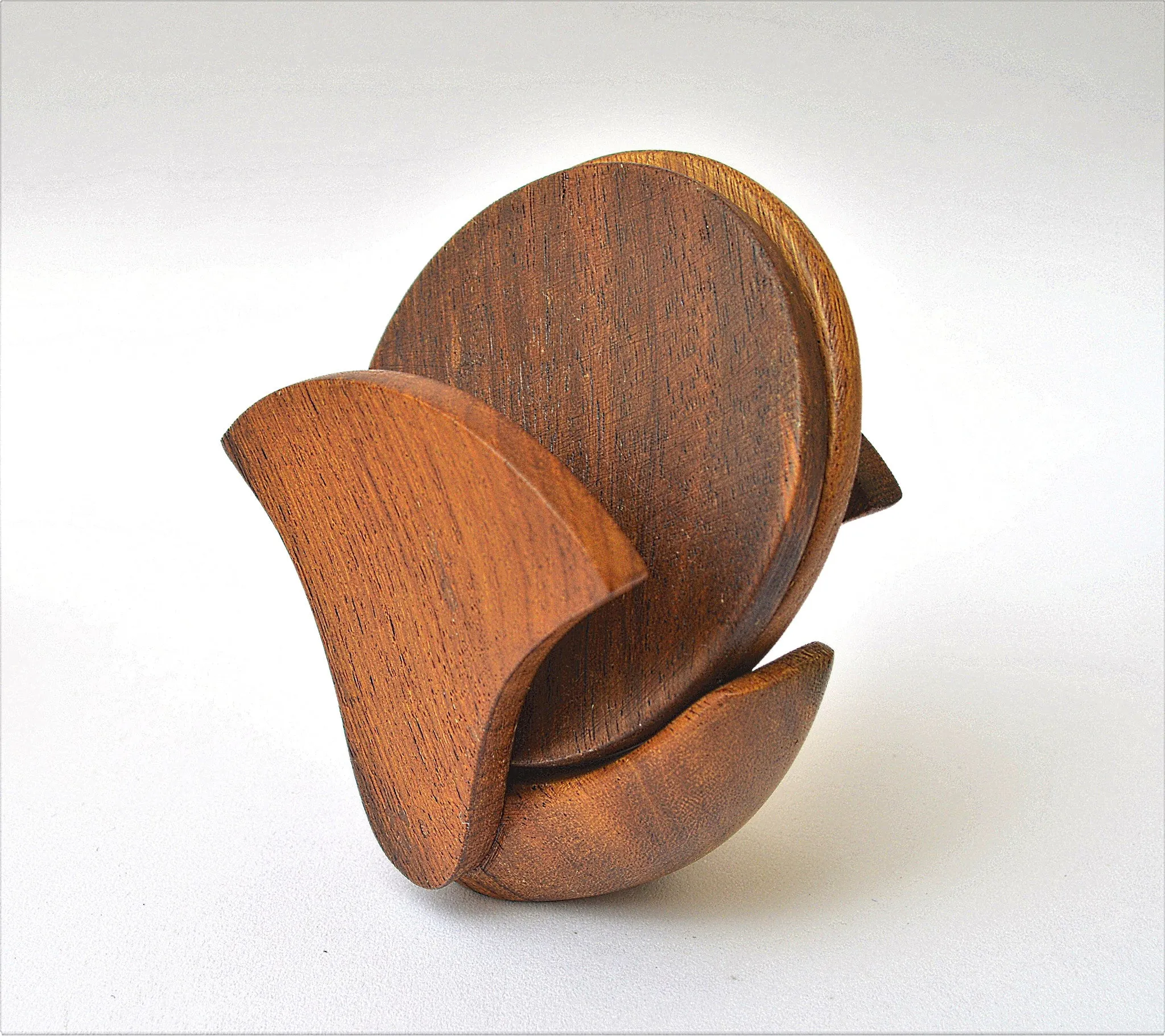 Ginko flower wooden coaster set
