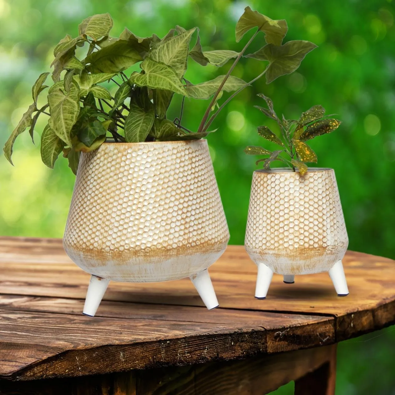Hazel Metal Planter with Stand