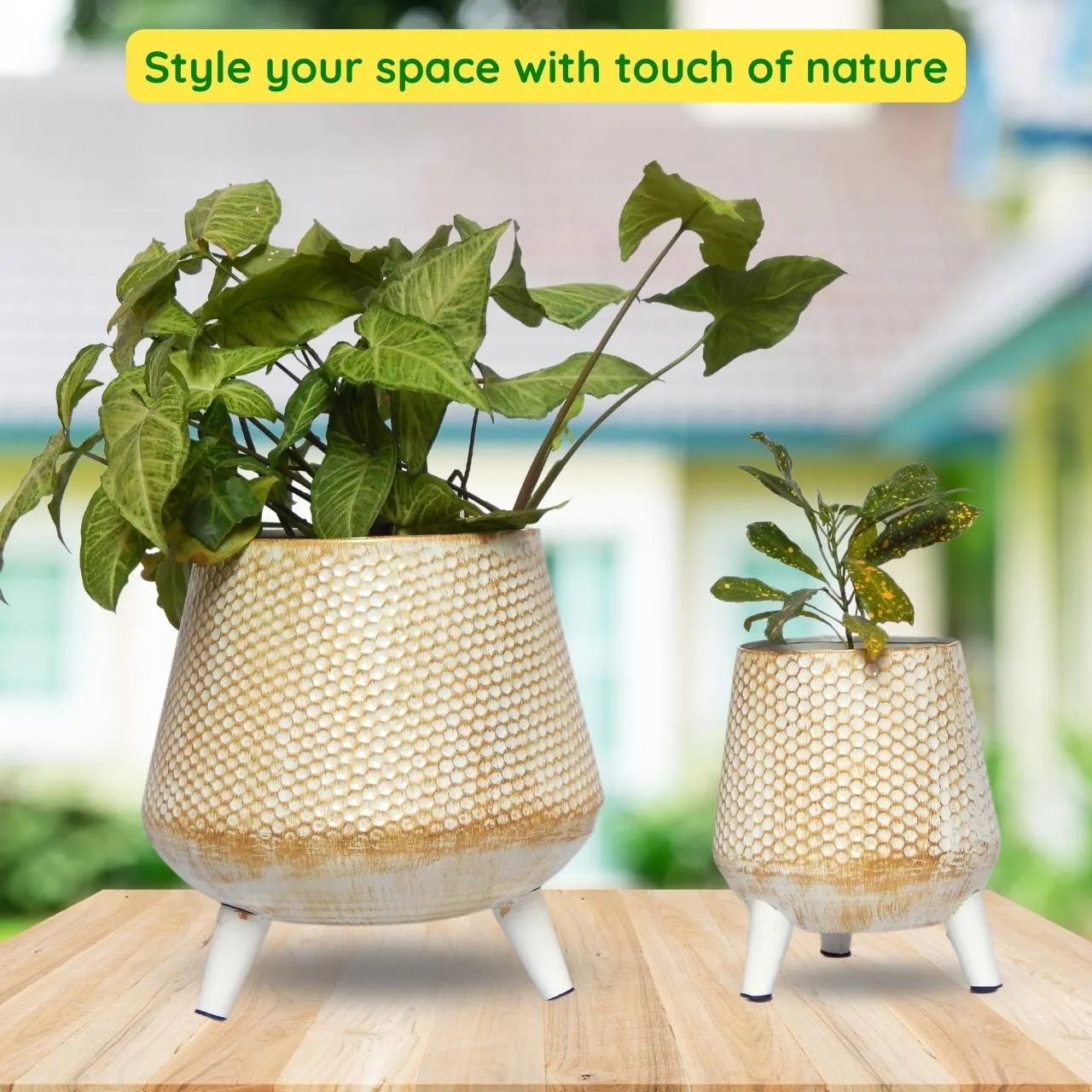 Hazel Metal Planter with Stand