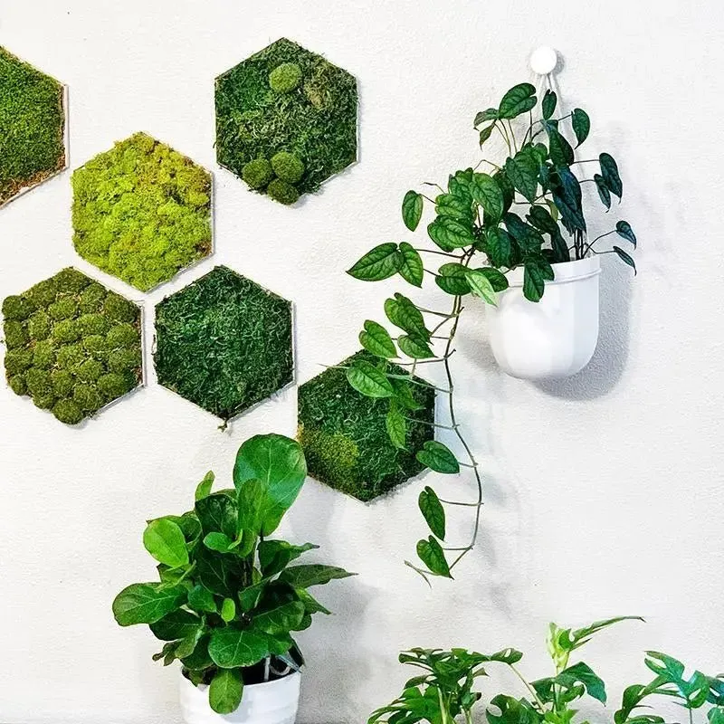 Loop Hanging Planter