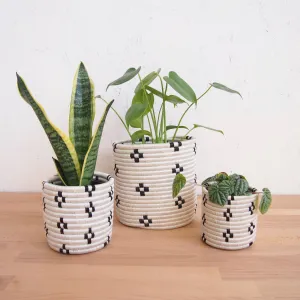 Maraba Plant Basket