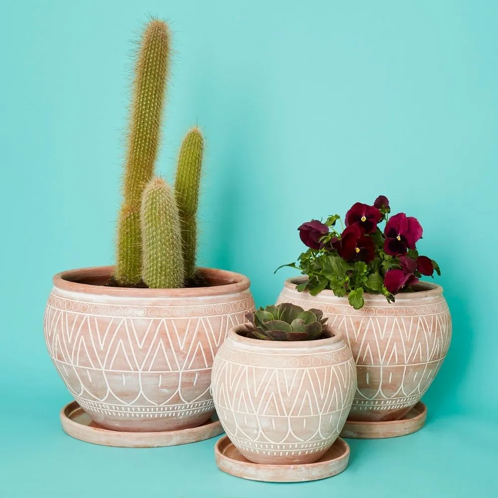 Medium Terracotta Belly Pot Saucer