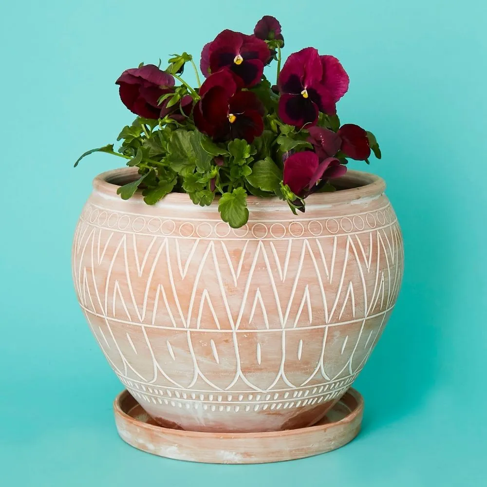 Medium Terracotta Belly Pot Saucer