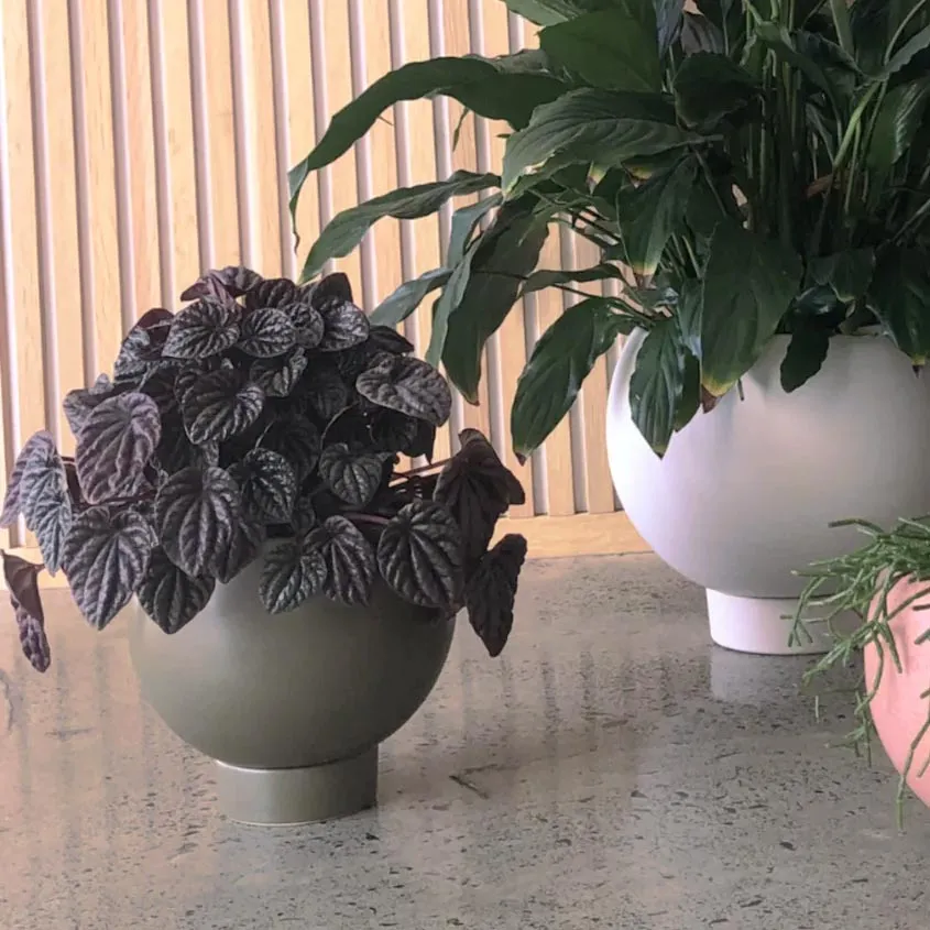 Orbit Planter - Oatmeal