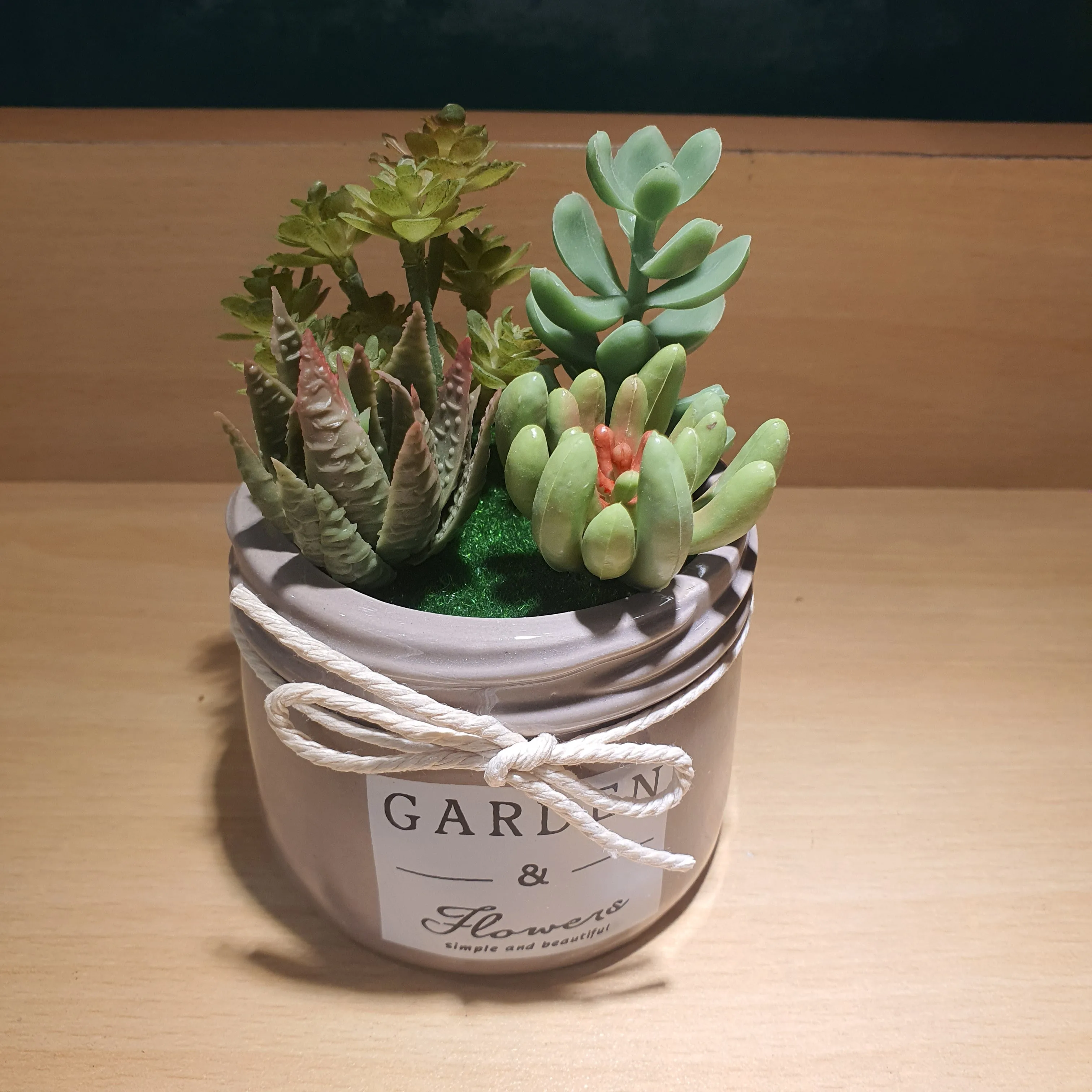 Plant Pot - Assorted