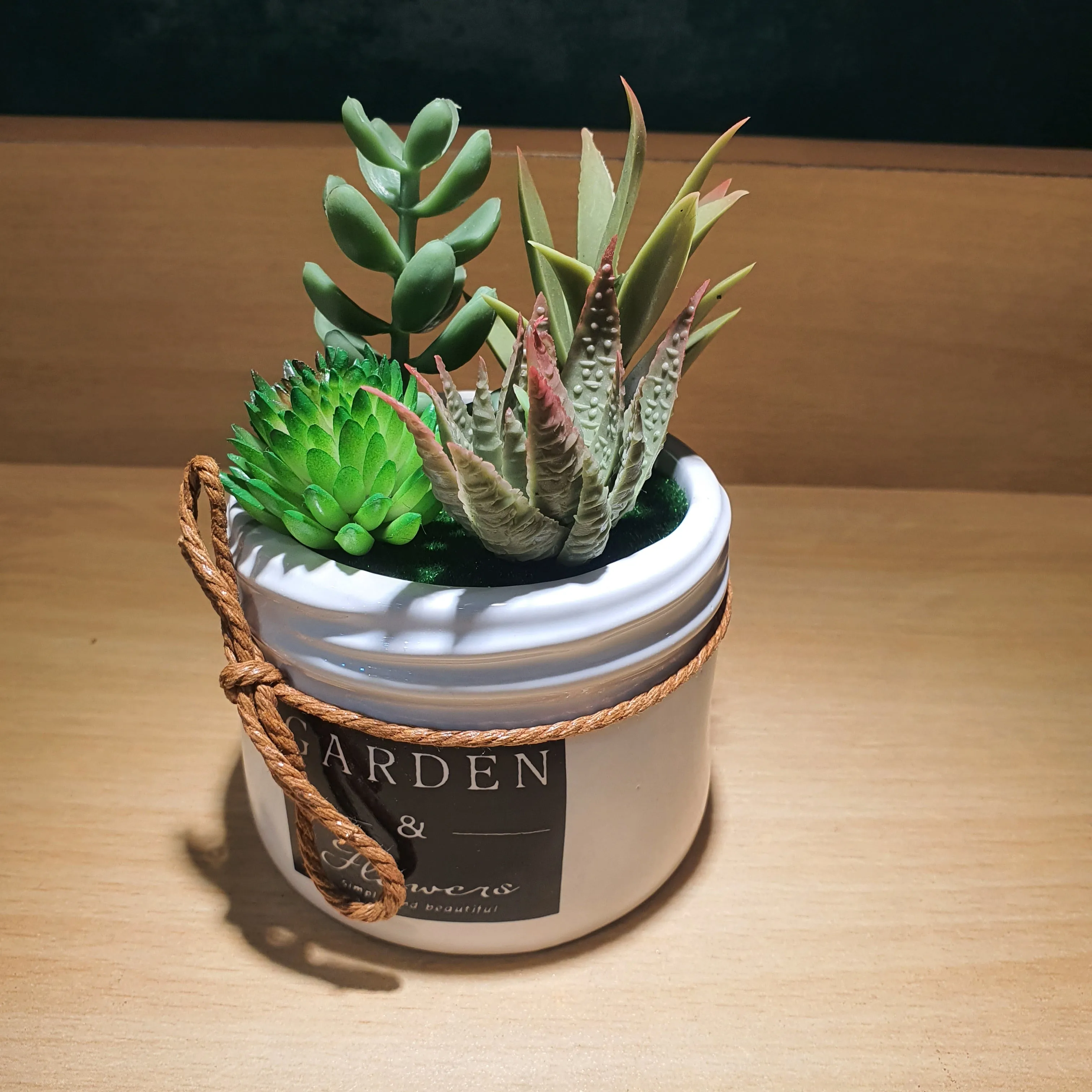 Plant Pot - Assorted