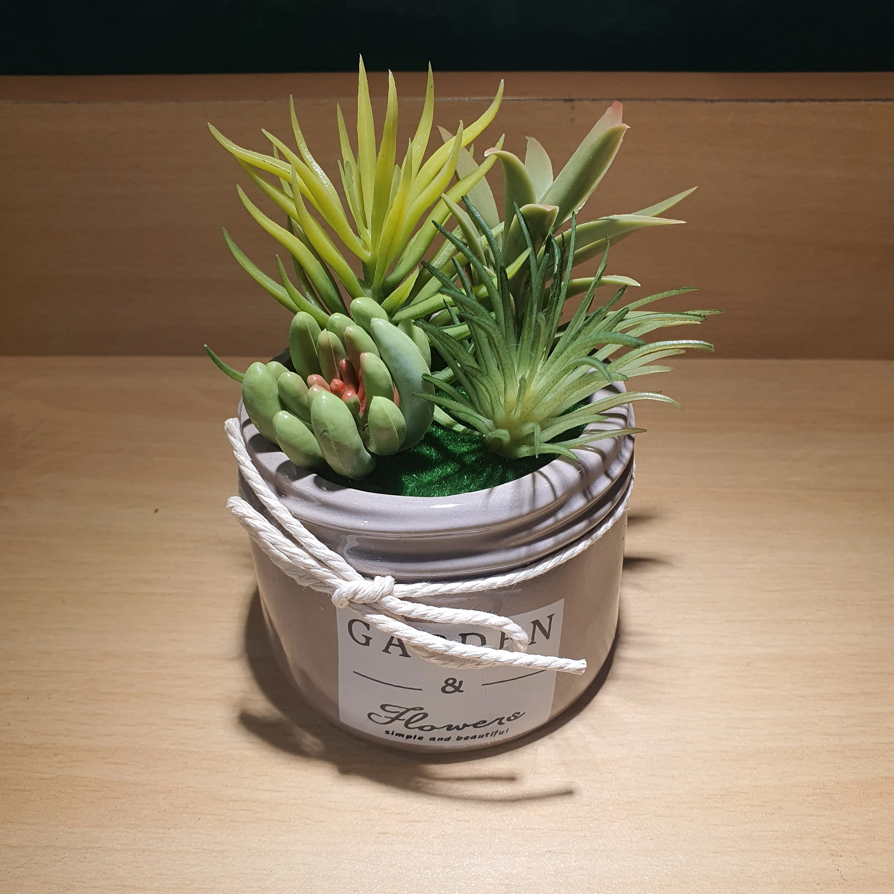 Plant Pot - Assorted