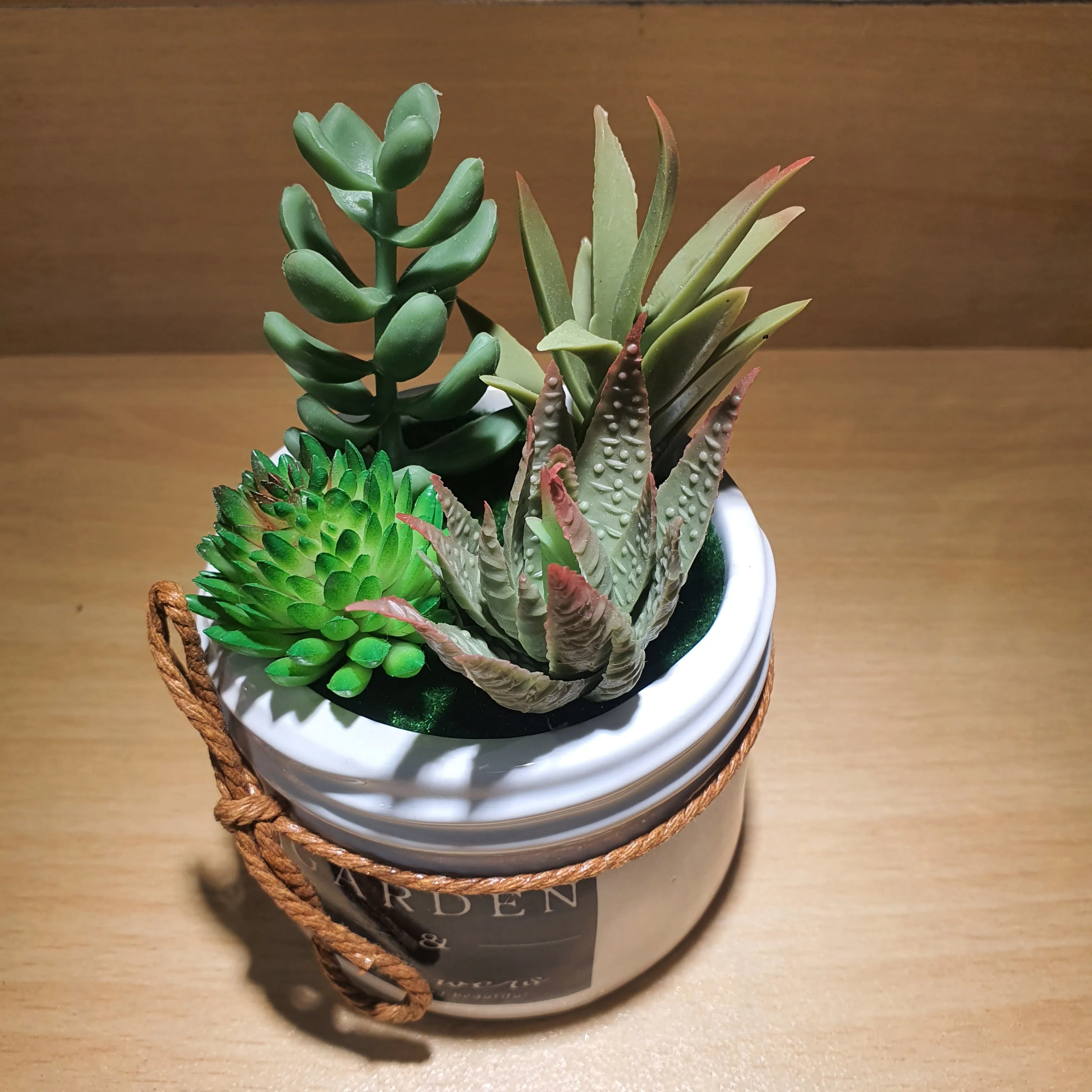 Plant Pot - Assorted