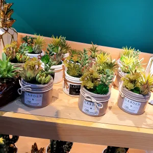 Plant Pot - Assorted