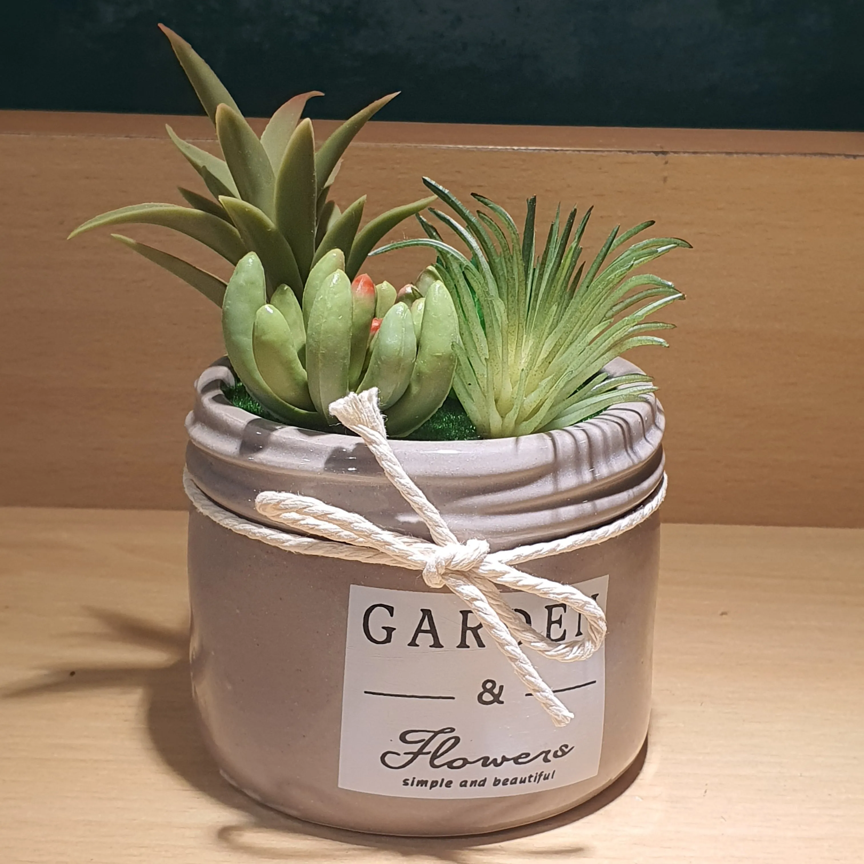Plant Pot - Assorted