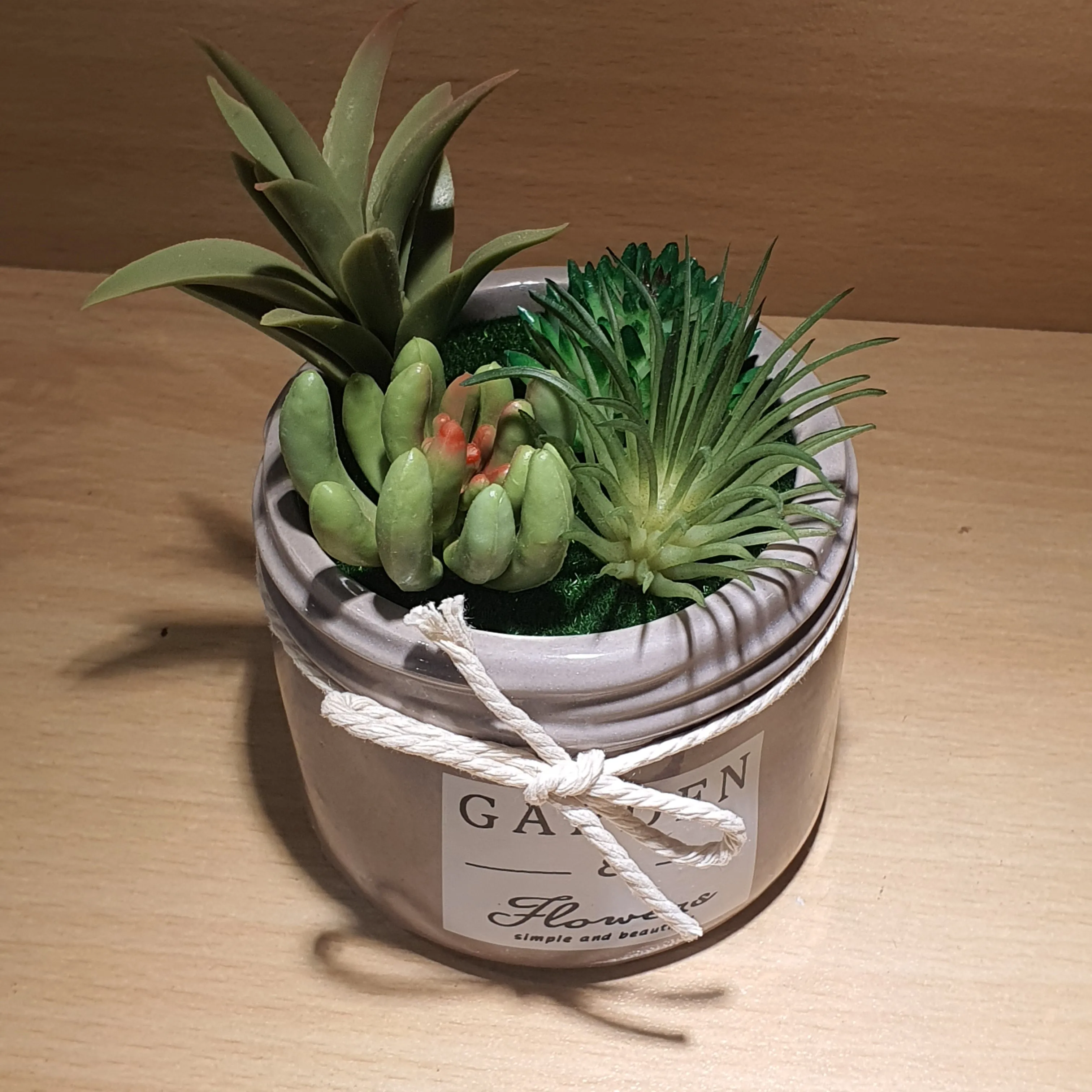 Plant Pot - Assorted