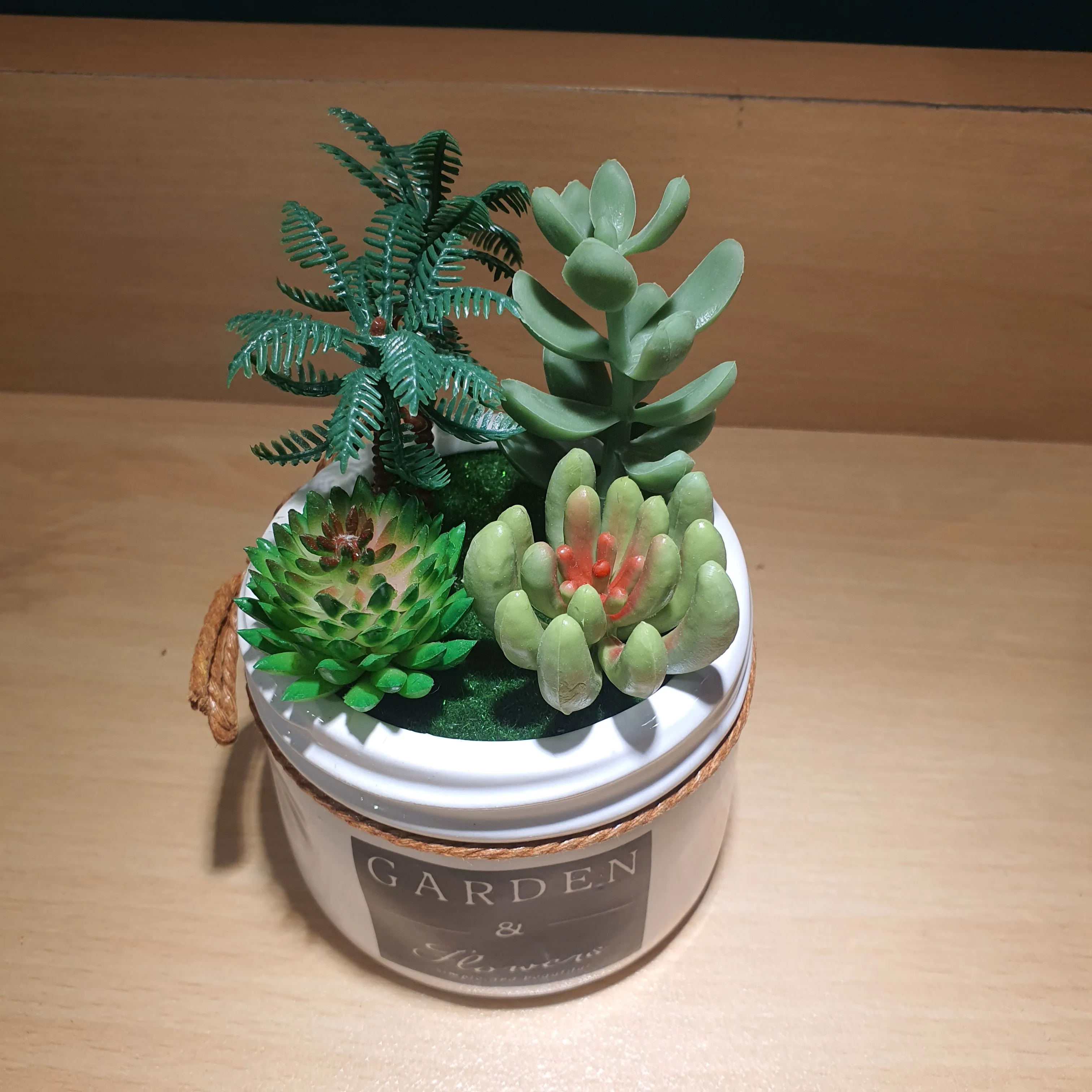 Plant Pot - Assorted