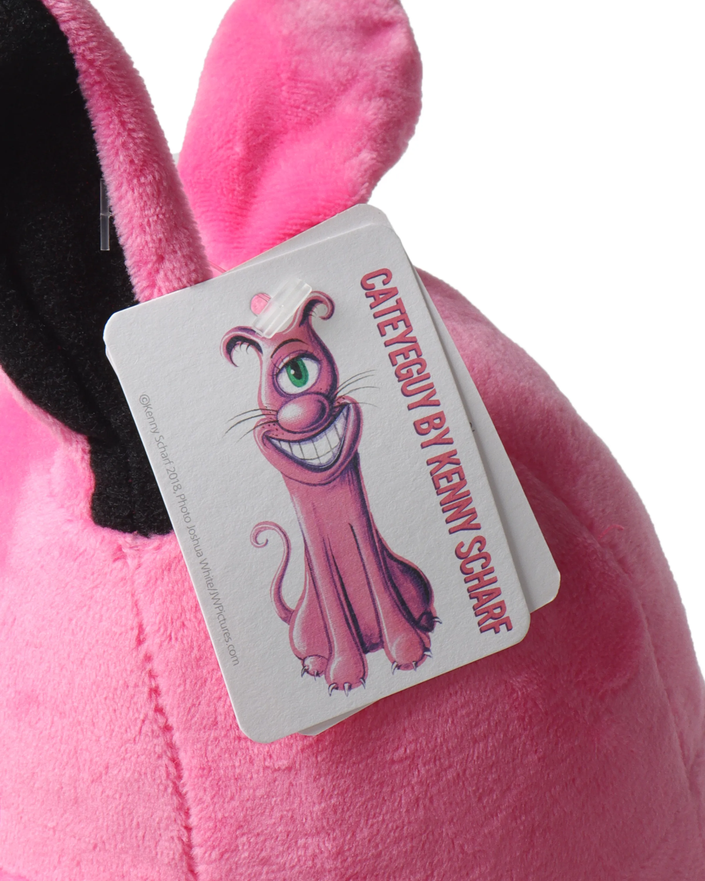 "Cateyeguy" Plush
