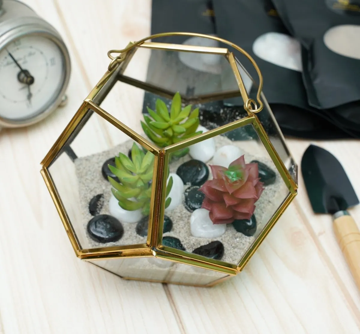 Terrarium Glass Containers with Terrarium Grow Kit (Golden Fullerene)