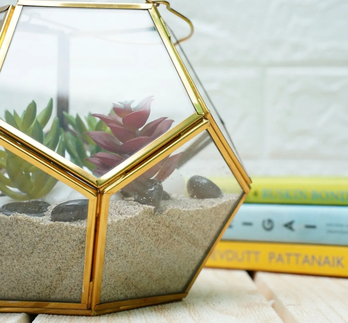 Terrarium Glass Containers with Terrarium Grow Kit (Golden Fullerene)