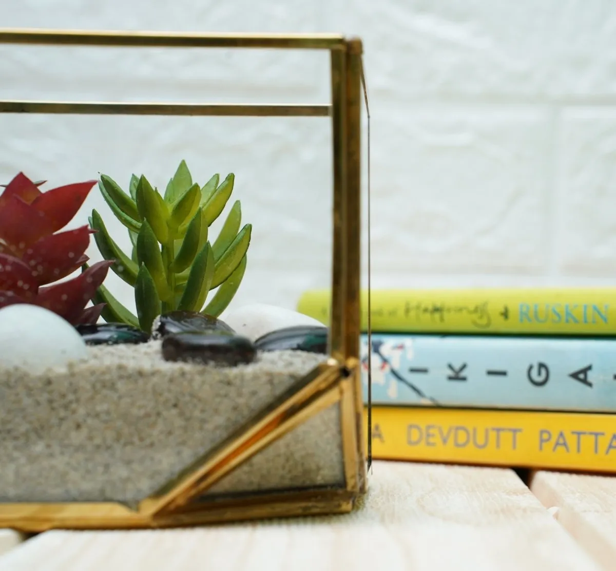 Terrarium Glass Containers with Terrarium Grow Kit (Golden Square)