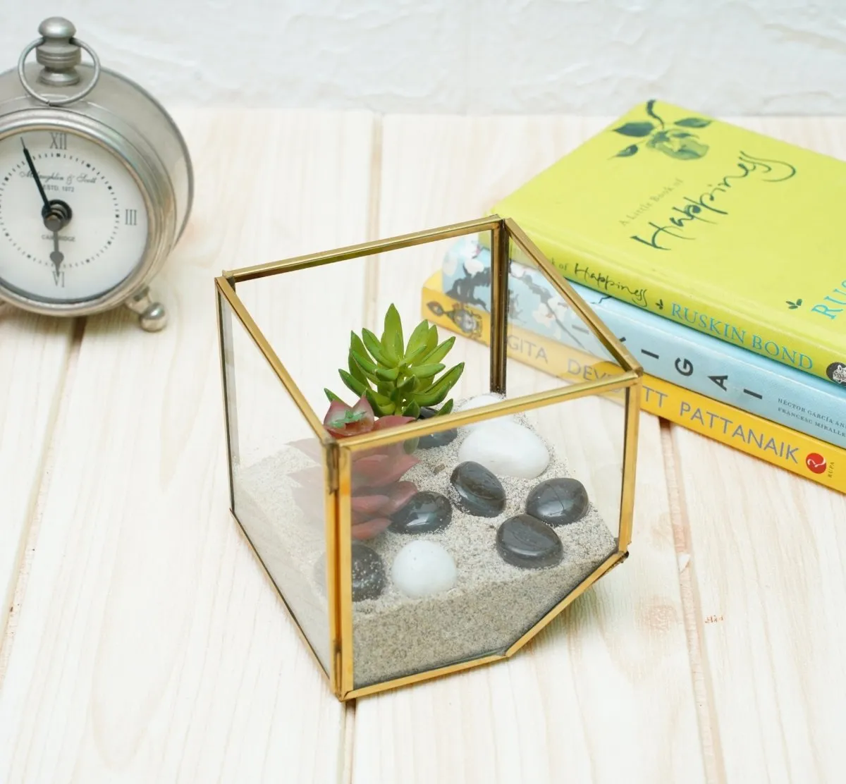 Terrarium Glass Containers with Terrarium Grow Kit (Golden Square)