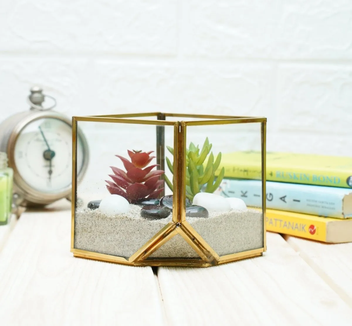 Terrarium Glass Containers with Terrarium Grow Kit (Golden Square)