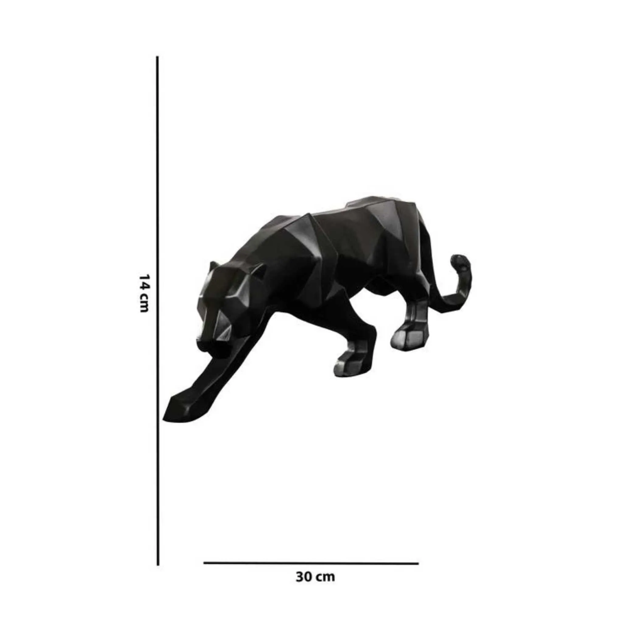 Tiger Series & Set of 2
