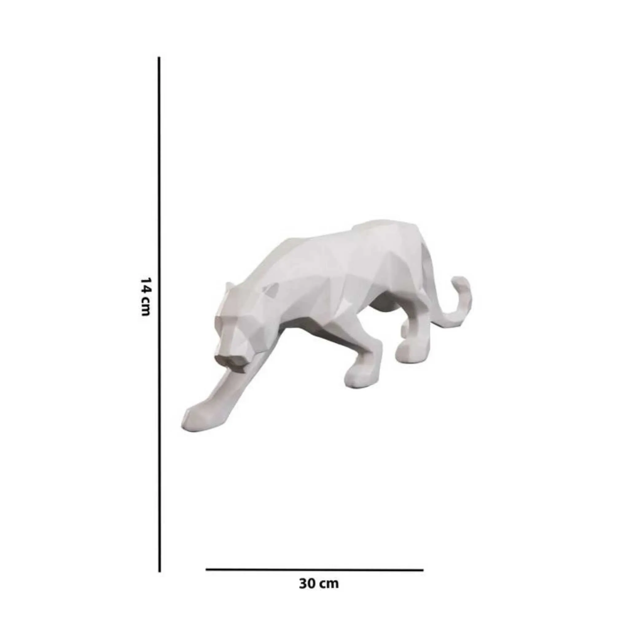 Tiger Series & Set of 2