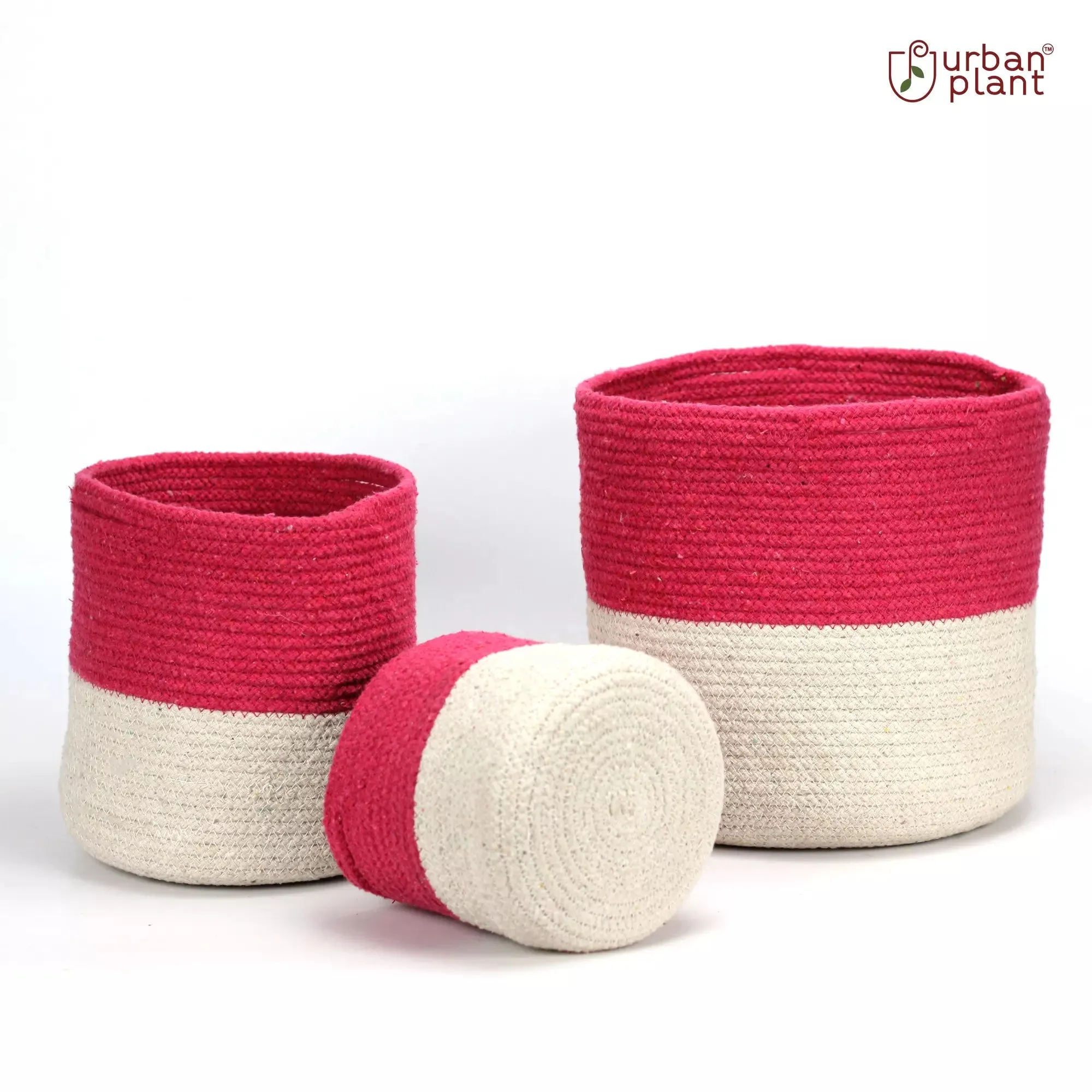Twin Pink Cotton Planter - (Pack of 3)