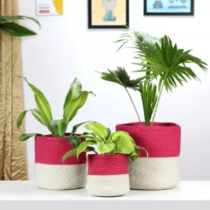 Twin Pink Cotton Planter - (Pack of 3)